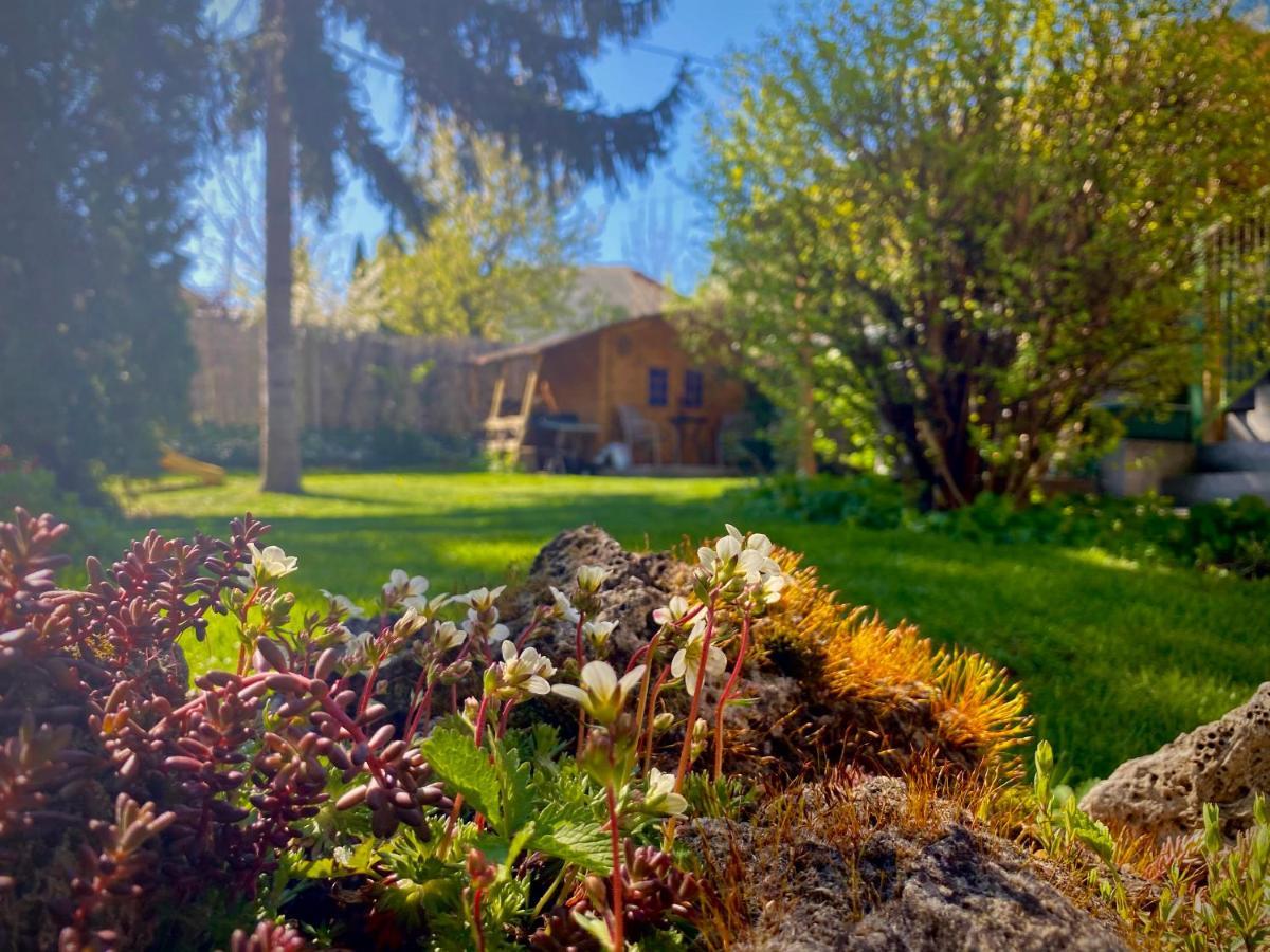 Gyoengyszem Vendeghaz Hotell Eger Exteriör bild